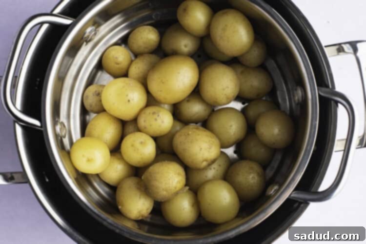 Overhead view of steamed potatoes in a steamer basket sitting in large pot, after cooking.