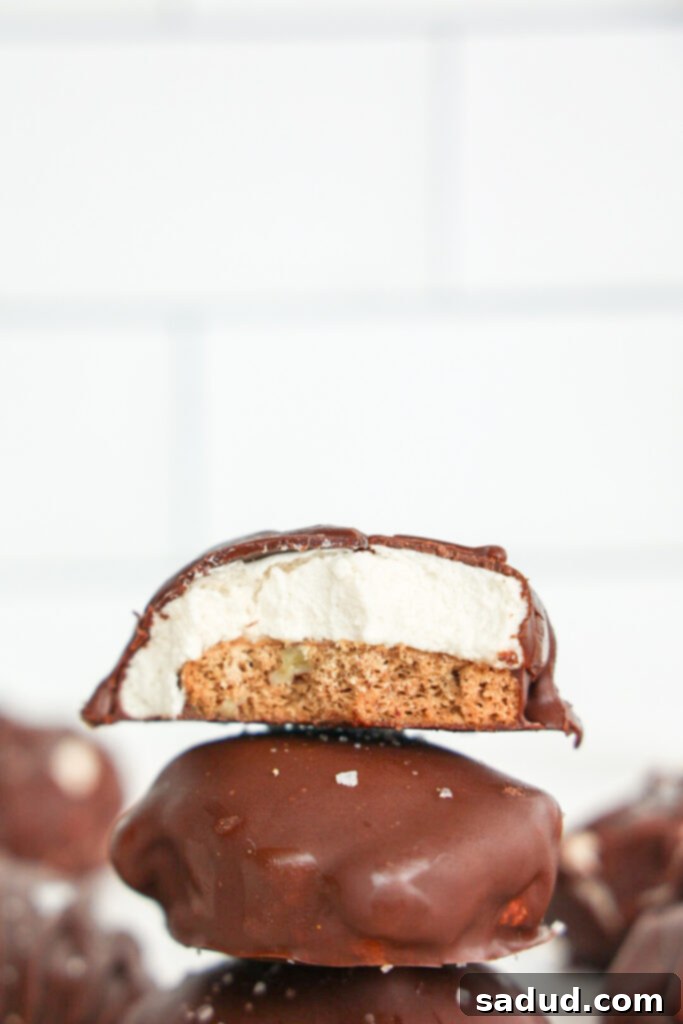 Delicious and healthy s'mores cookie bars with marshmallow and chocolate