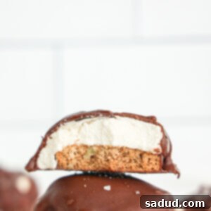 Healthy S'mores Cookie Bars on a white background.