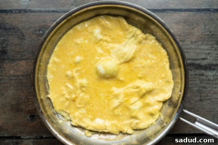 Overhead view of an omelette in a large skillet.