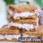 Strawberry Frozen S'mores