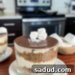 S'mores Cheesecake Cups
