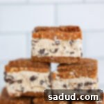 Frozen Protein S'mores