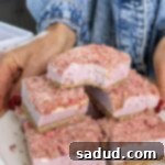 Strawberry Shortcake Ice Cream Bars
