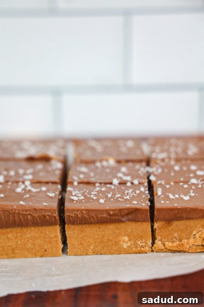 Healthy, vegan, paleo chocolate peanut butter fudge.