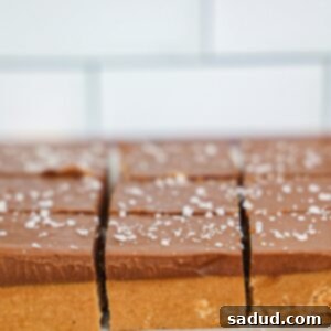 Peanut Butter Chocolate Fudge (Vegan, Paleo)