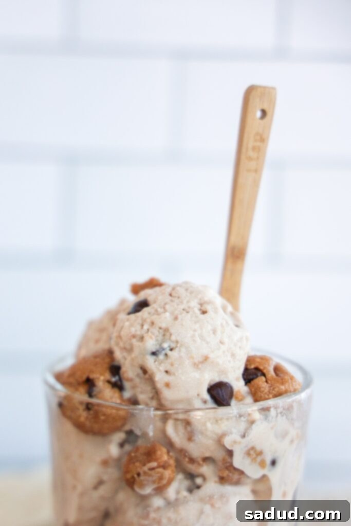 Healthy, high protein, vegan chocolate chip cookie dough blizzard. A delicious copycat Dairy Queen recipe that is dairy free and gluten free.