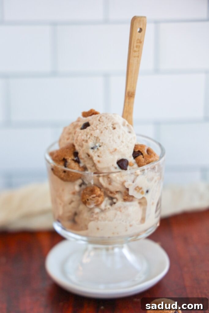 Healthy, high protein, vegan chocolate chip cookie dough blizzard. A guilt-free dessert option.