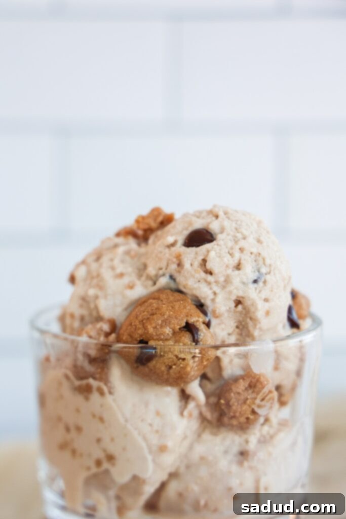 Healthy, high protein, vegan chocolate chip cookie dough blizzard. diary queen copycat.