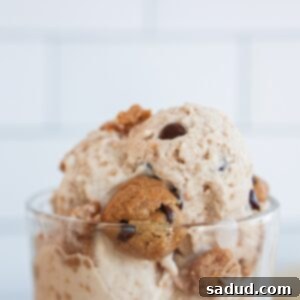 Healthy Dairy Queen Chocolate Chip Cookie Dough Blizzard