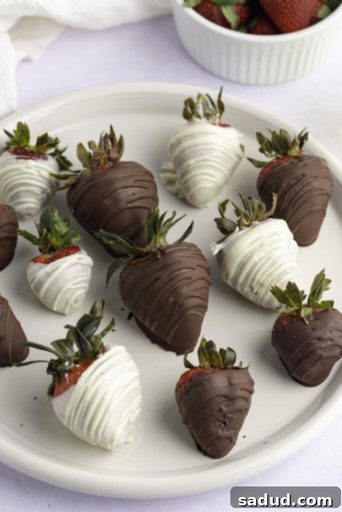 Decadent Infused Chocolate Strawberries 3 Dark chocolate and white chocolate covered strawberries on a white plate on a white background, highlighting their elegant presentation.