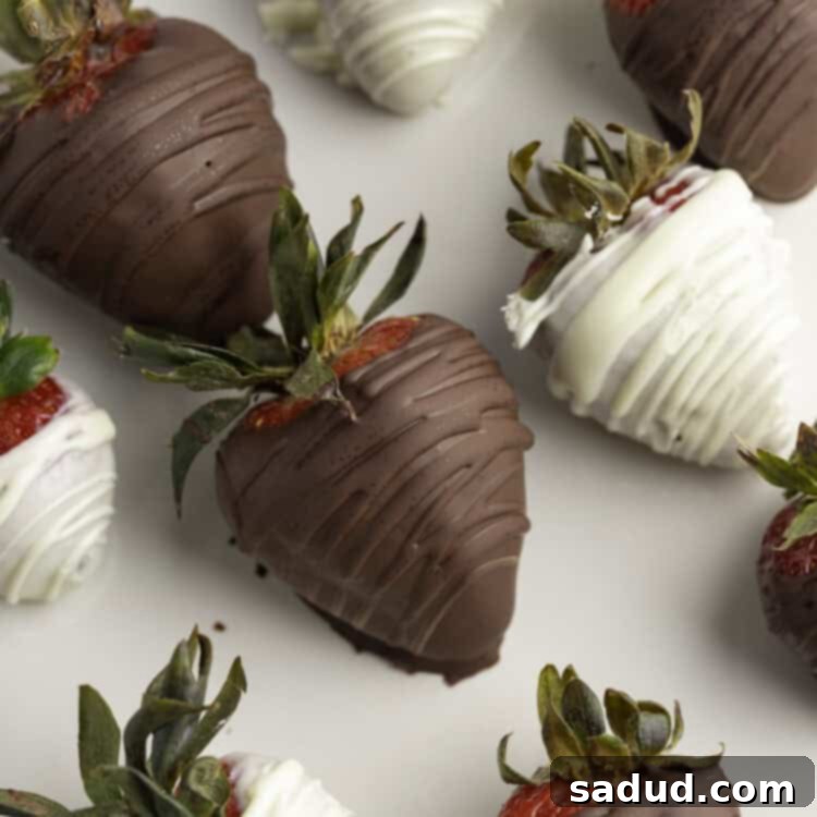 Decadent Infused Chocolate Strawberries 4 Close up photo of dark chocolate and white chocolate covered strawberries on a white plate, ready to be served.