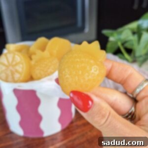 Apple Cider Vinegar Gummies Recipe