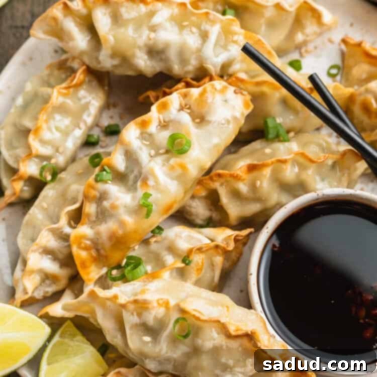 Crispy air fryer dumplings served with a side of dipping sauce.