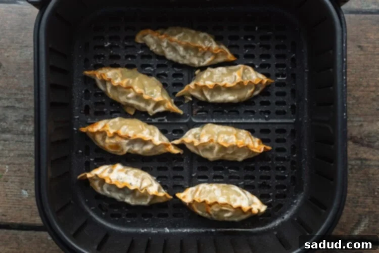 Close-up of freshly cooked crispy air fryer dumplings on a plate, ready to be served.