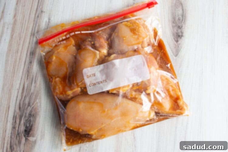 Overhead view of boneless, skinless chicken thighs in plastic freezer bag with mesquite marinade.