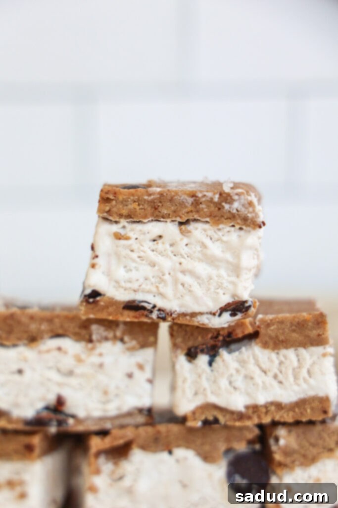 Vegan Cookie Dough Ice Cream Sandwiches 2 vegan cookie dough ice cream sandwich.