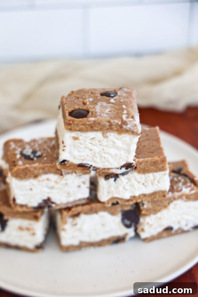 Vegan Cookie Dough Ice Cream Sandwiches 3 Protein cookie dough ice cream sandwiches.