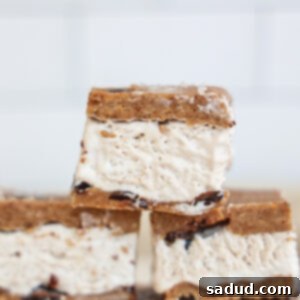 Vegan Cookie Dough Ice Cream Sandwiches 5 Healthier High-Protein Cookie Dough Ice Cream Sandwiches.