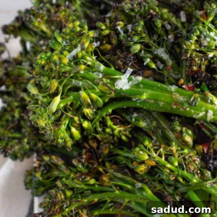 Close-up image of grilled broccolini with parmesan and red chili pepper flakes, showing tender stalks and crispy edges.