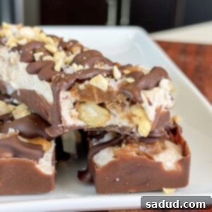 Healthy Copycat KIND Frozen Treat Bars, finished and ready to eat