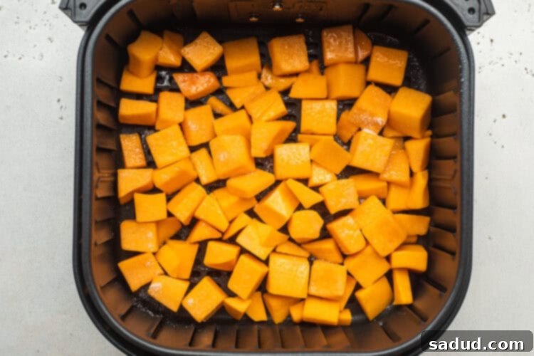 Overhead view of seasoned butternut squash cubes in a black air fryer basket, ready for cooking.