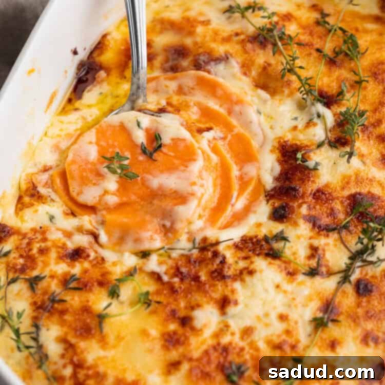 Close, angled shot of a large oval casserole dish filled with cheesy scalloped sweet potatoes and green garnish.
