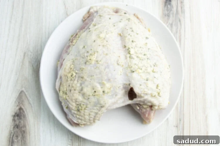 Overhead view of a brined turkey breast generously rubbed with herb compound-butter on a round white plate, ready for grilling.