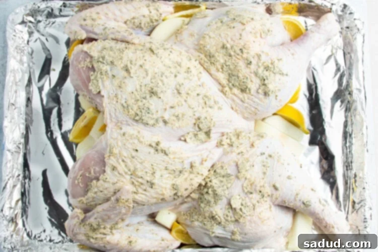 Overhead view of a spatchcocked turkey covered in compound butter resting in an aluminum disposable pan lined with foil.