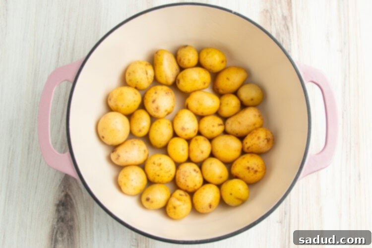 Baby potatoes arranged in a single layer in a large baking dish with high sides.