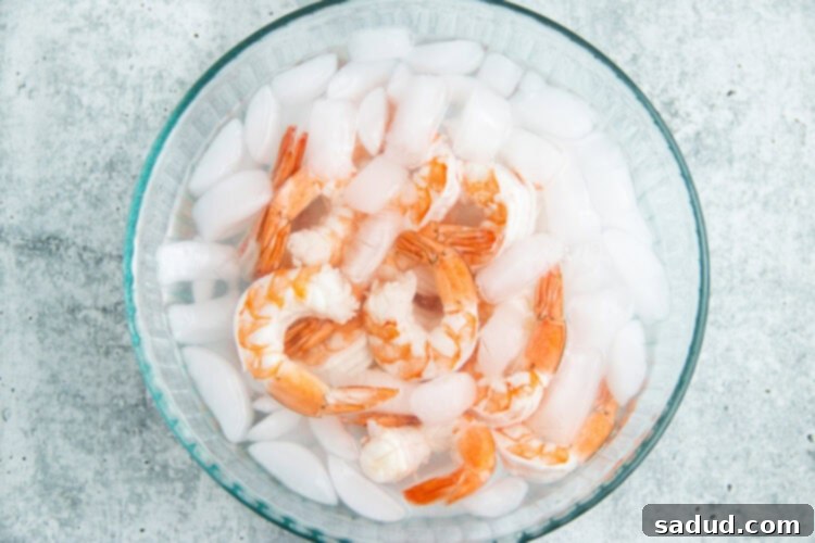 Shrimp in ice bath.