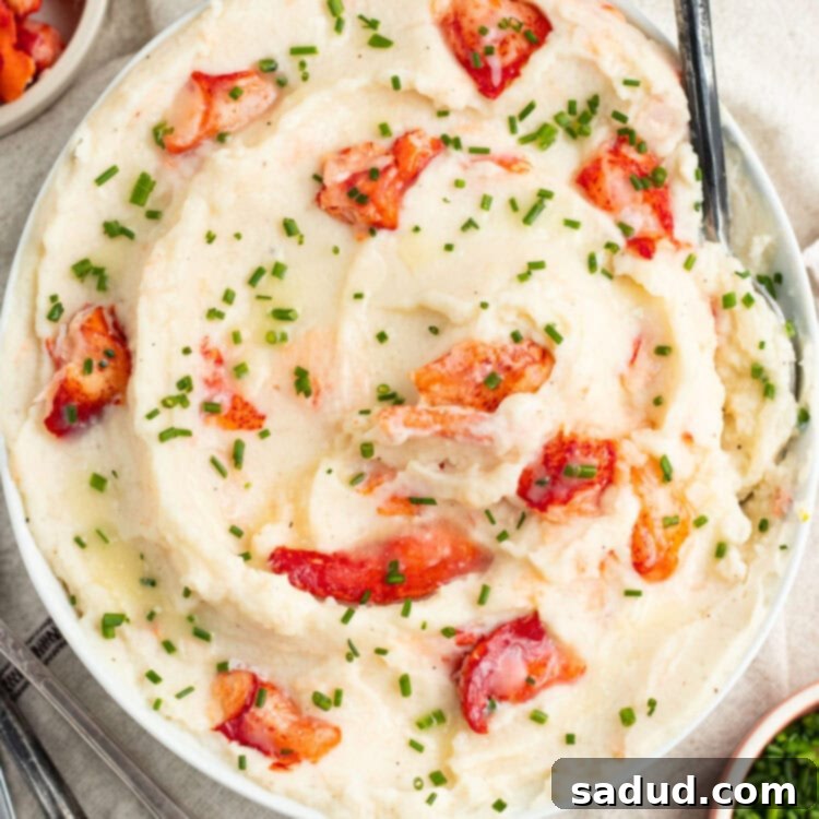 Top-down view of a giant bowl of swirled, whipped mashed potatoes with large chunks of pink and red lobster meat, garnished with fresh chives.