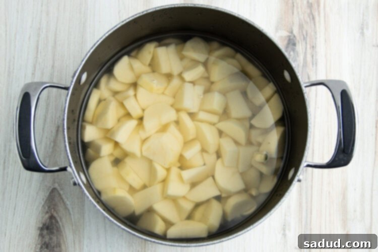 Cubed potatoes and garlic in a large pot of cold water, ready to be cooked.