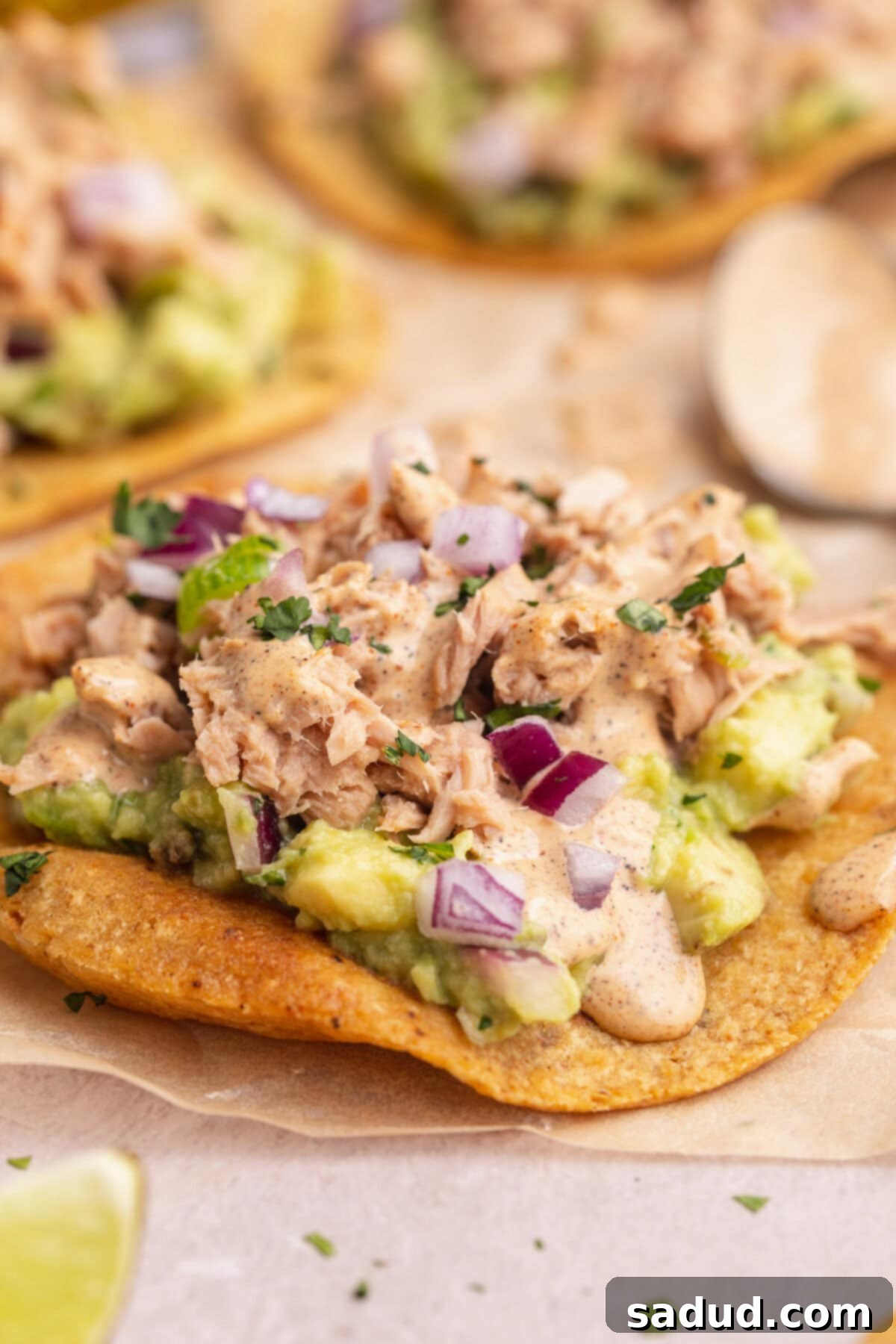 Side view of a crisp tostada topped with tuna, guac, and fresh toppings.