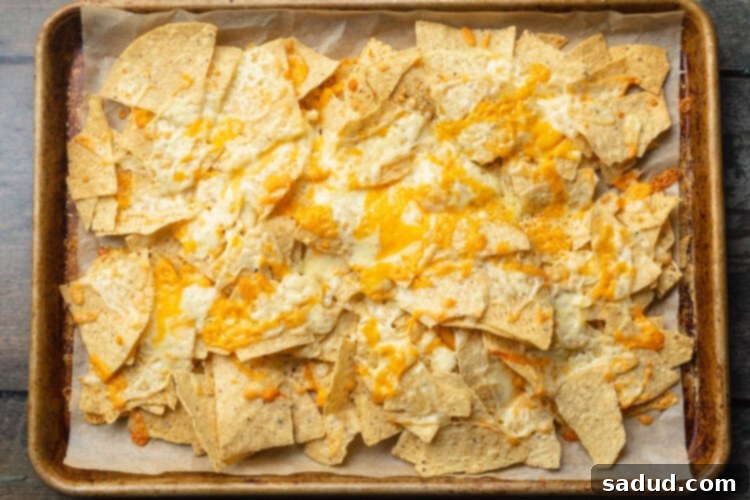 Melted shredded cheese on top of tortilla chips on a baking sheet.