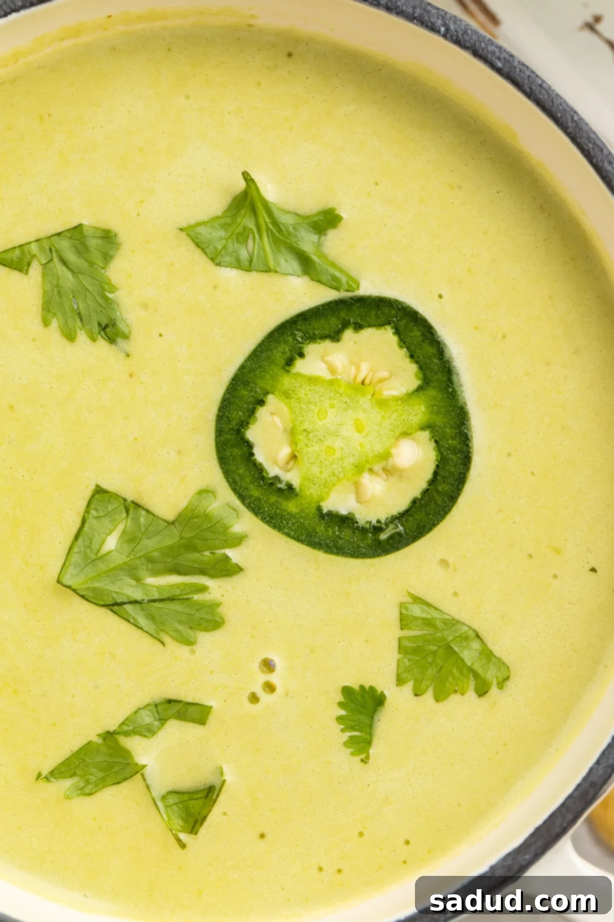 Silky Jalapeño Bliss 3 Top down, close-up view of a bowl of cream of jalapeño soup, garnished with cilantro and a sliced jalapeno.