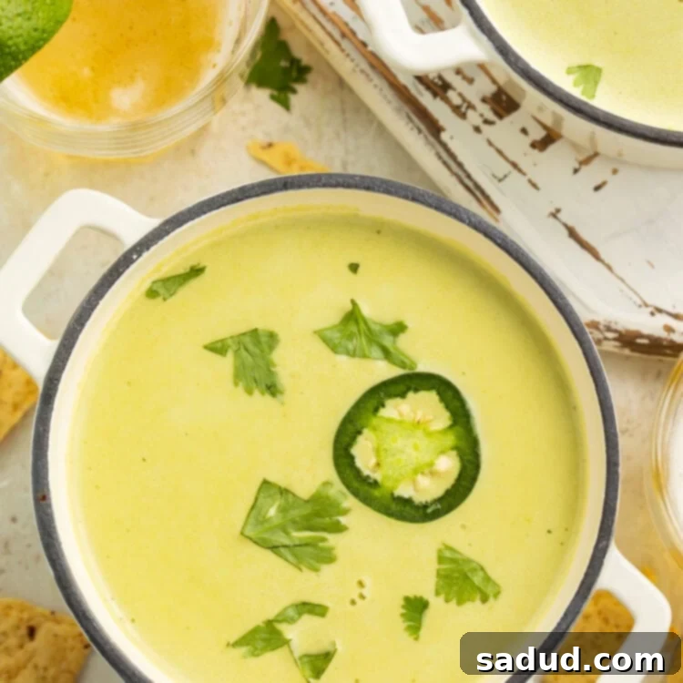 Silky Jalapeño Bliss 4 Overhead view of 2 bowls with handles holding light green cream of jalapeño soup garnished with a sliced of jalapeño and fresh parsley.