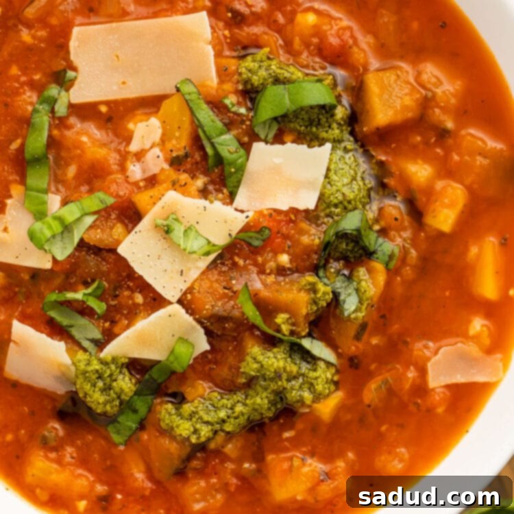 Close-up of a bowl of ratatouille soup topped with fresh basil leaves and parmesan.
