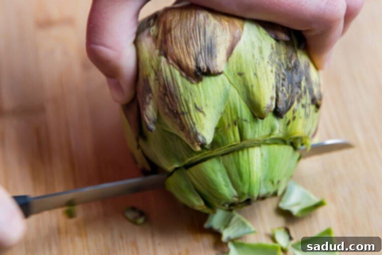 Slice away top two rows of petals from top of artichokes.