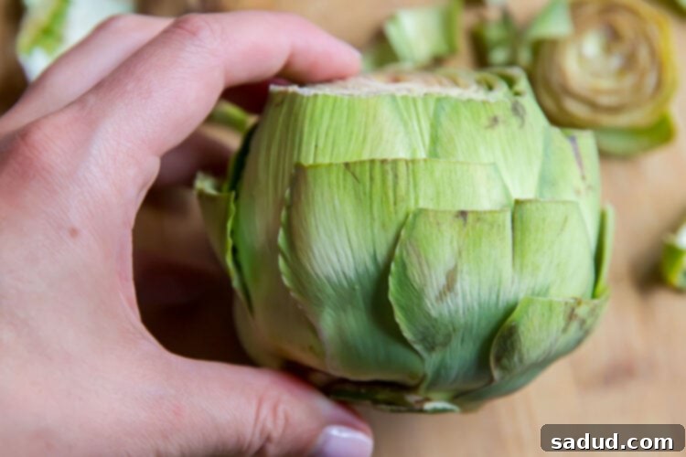 Snip off sharp thorns from tips of artichoke petals.
