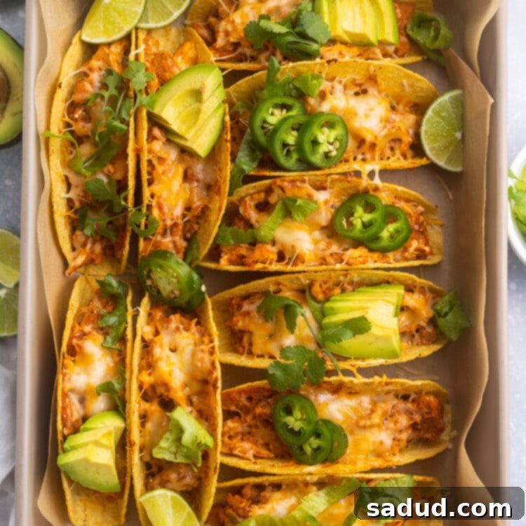 A baking pan filled with 10 baked chicken tacos in crispy taco shells, ready to serve.