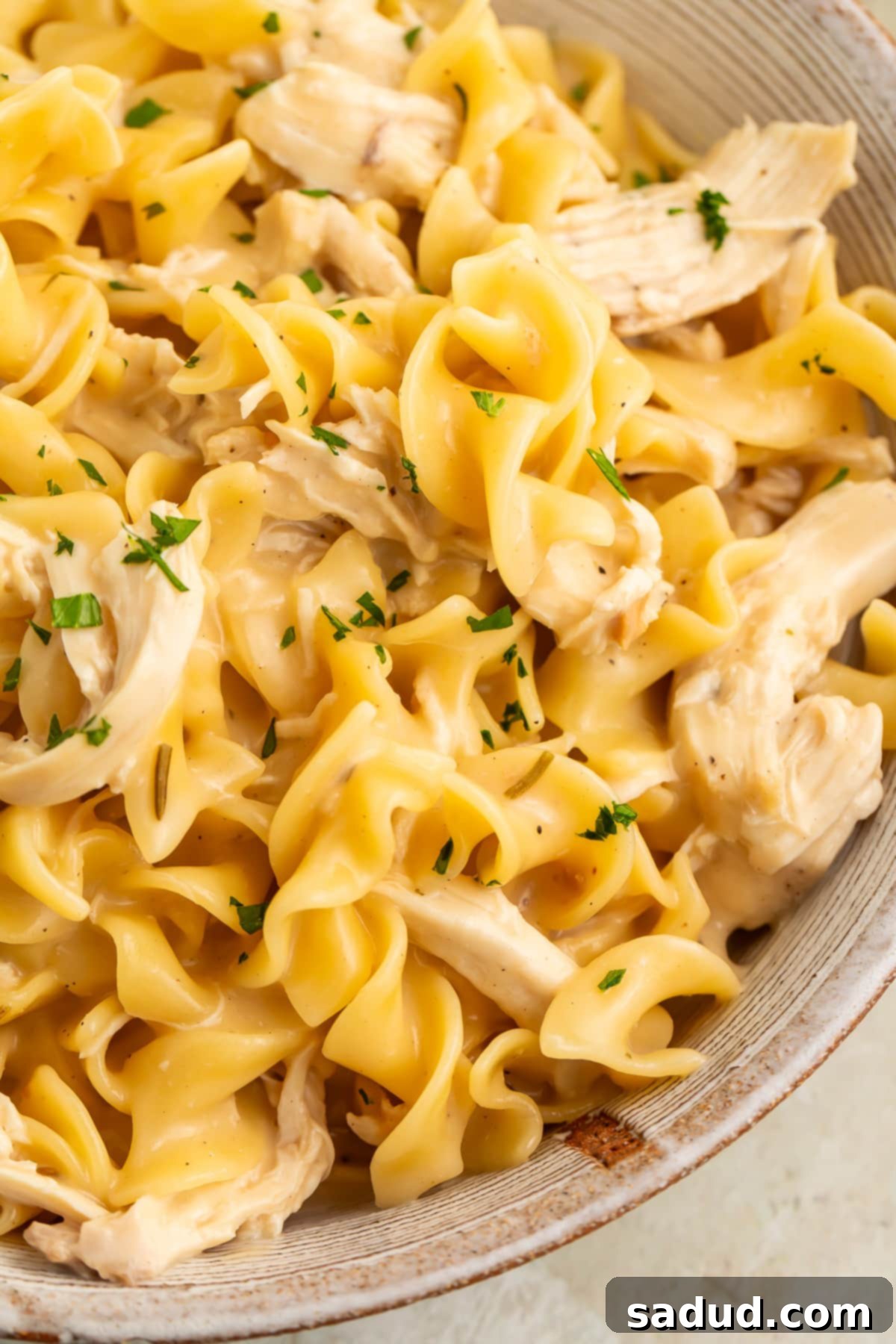 Instant Pot chicken and noodles in a large white bowl, shot close-up to show the chunks of chicken and twisty noodles.