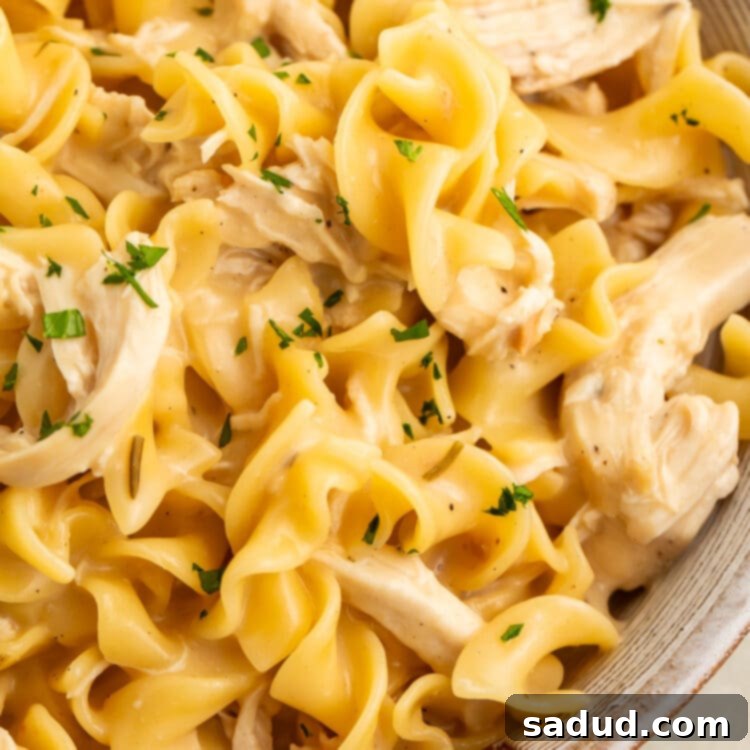 Instant Pot chicken and noodles in a large white bowl, shot close-up to show the chunks of chicken and twisty noodles.