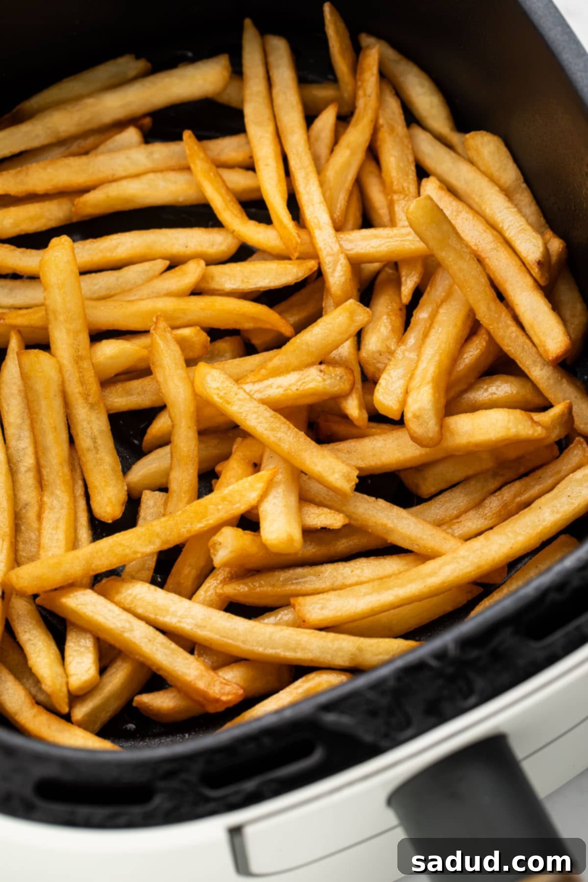 Crispy Fries Revival in Your Air Fryer 2 Reheated french fries in an air fryer basket, looking golden and crispy.