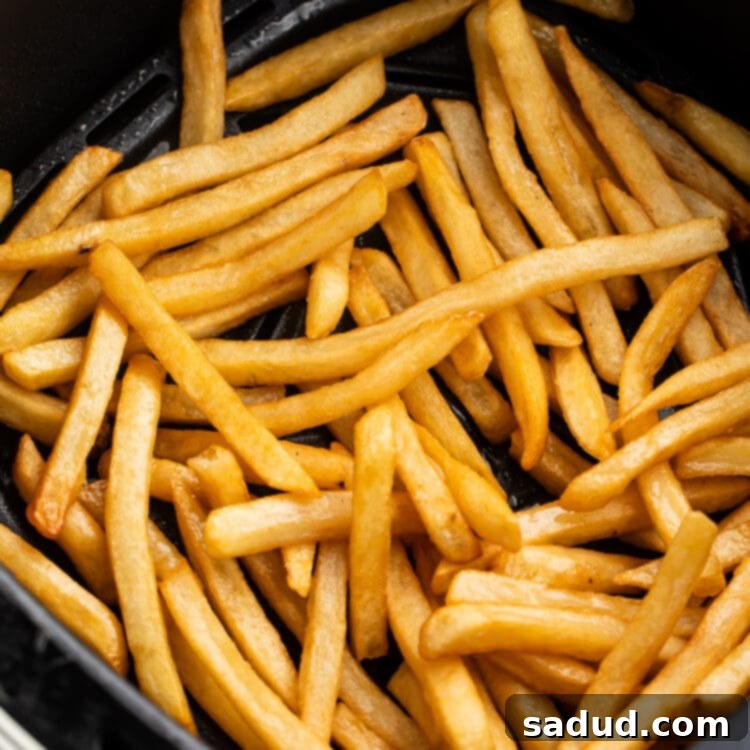Crispy Fries Revival in Your Air Fryer 4 Reheated french fries in an air fryer basket, perfectly golden and ready to eat.