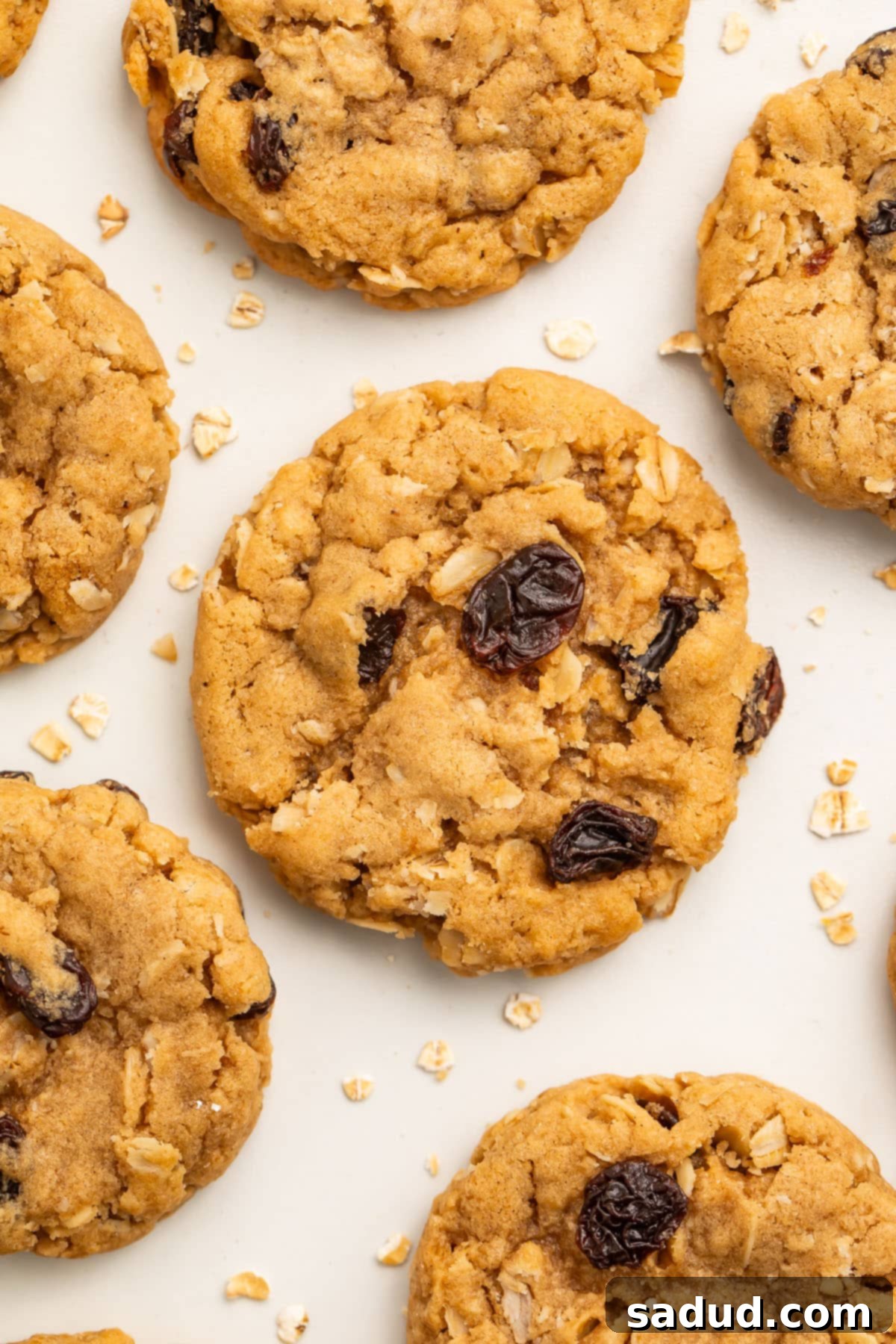 A close-up shot of a perfectly baked, golden-brown vegan oatmeal cookie, speckled with raisins and oats, resting on a sheet of parchment paper.