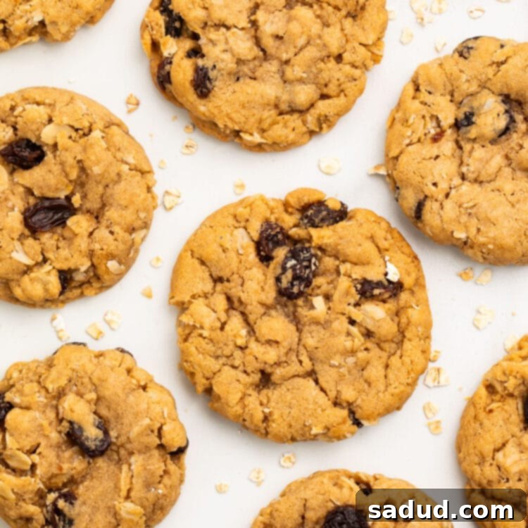 A batch of freshly baked vegan oatmeal cookies cooling on a sheet of parchment paper, ready to be enjoyed.