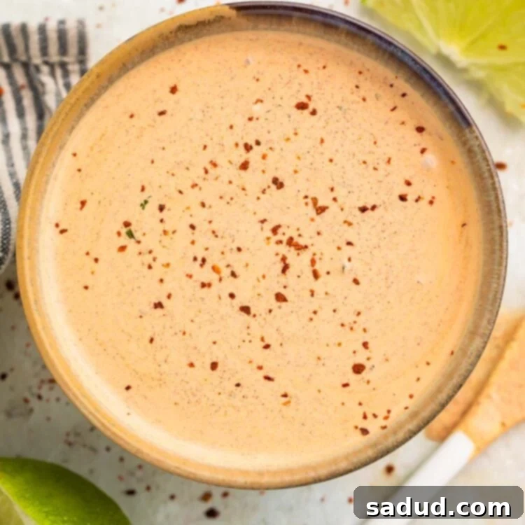 Overhead view of a vibrant Southwest salad dressing, creamy and peach-colored, beautifully topped with a sprinkle of smoked paprika, presented in a stylish medium bowl. 