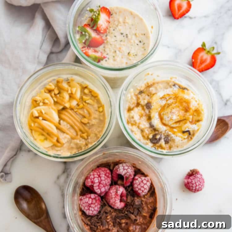 Four varieties of vegan overnight oats, including chocolate, peanut butter, cinnamon raisin, and classic with fresh fruit, in glass jars.