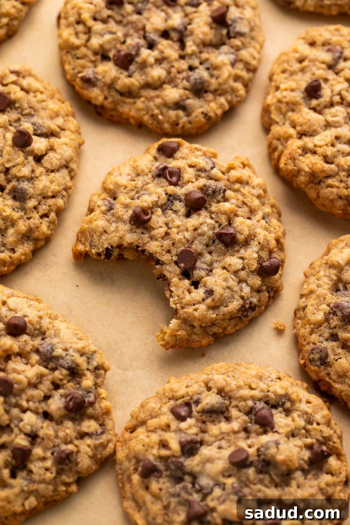 Close-up of gluten free oatmeal chocolate chip cookies arranged on a sheet of parchment paper, with a bite missing from the center cookie, showcasing their chewy texture and melted chocolate chips.